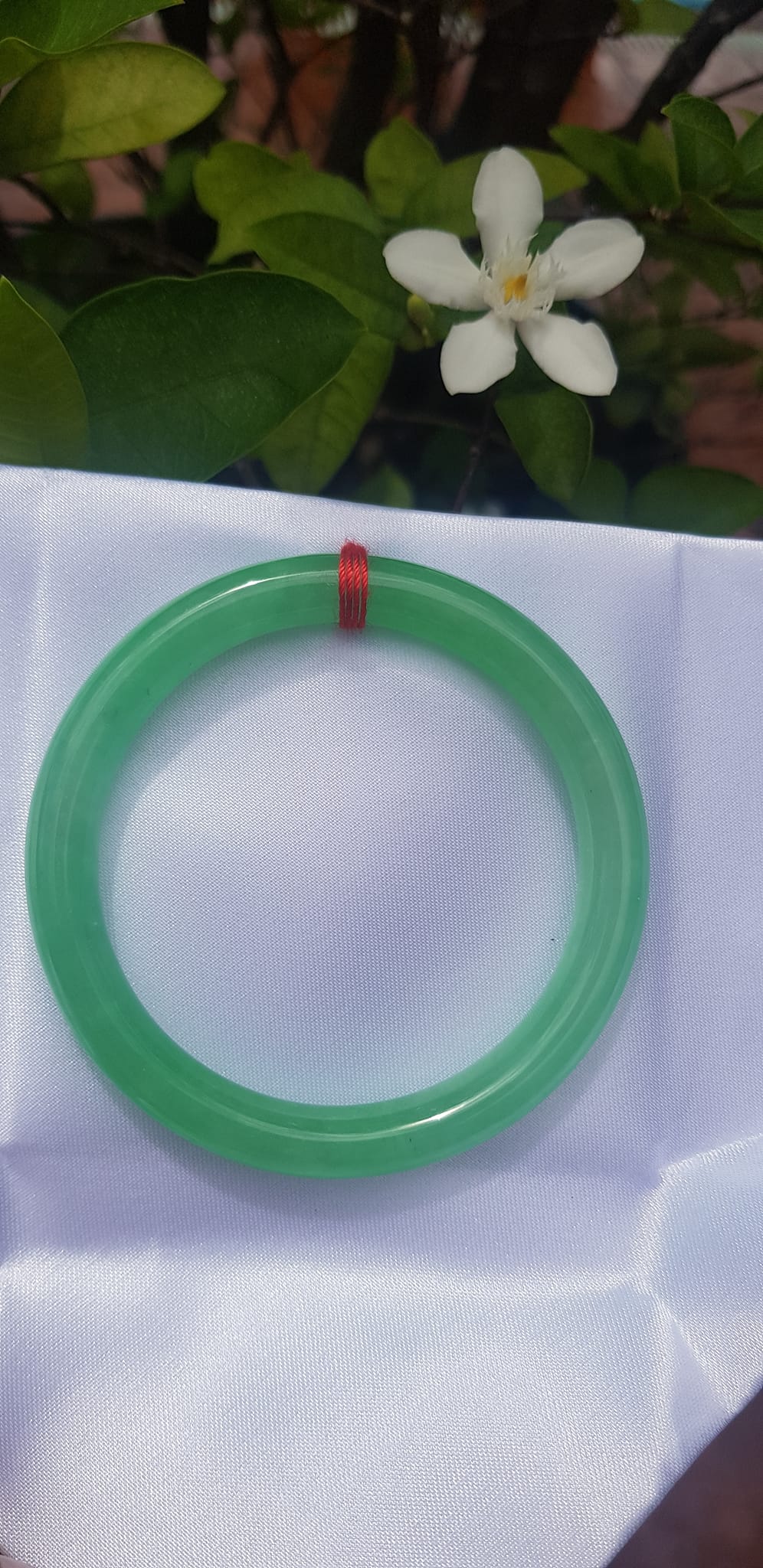 Vòng tay Nữ đá cẩm thạch Mới Lý Trong Size 54mm x cọng 7mm Vòng màu Xanh lá tươi 53kg - 62kg Nữ mệnh Mộc mệnh Hỏa Thủy đeo ạ