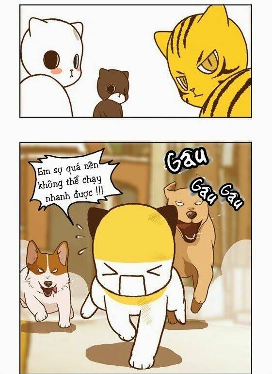 papi nyang chapter 17 6