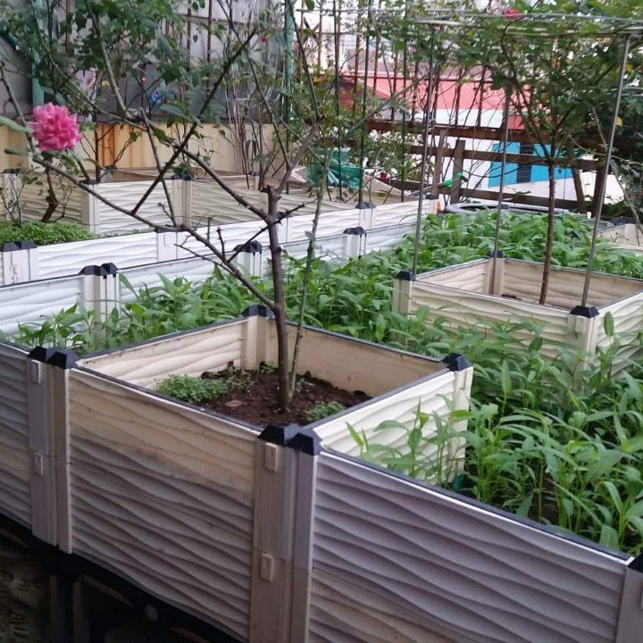 CHẬU GHÉP THÔNG MINH Cm: Bền từ 8-10 năm, phù hợp mọi cây trồng và không gian, Module tùy biến kích thước, an toàn, trọng lượng nhẹ, kết cấu chắc chắn, có khay trữ và thoát nước.