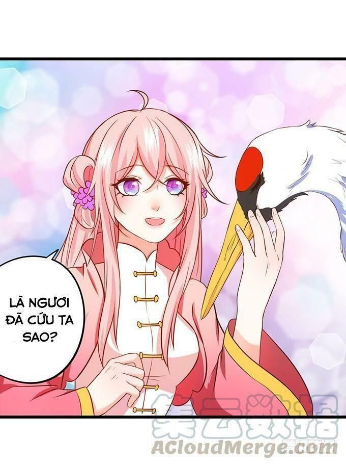 hồ tiên hung bạo chapter 71 68