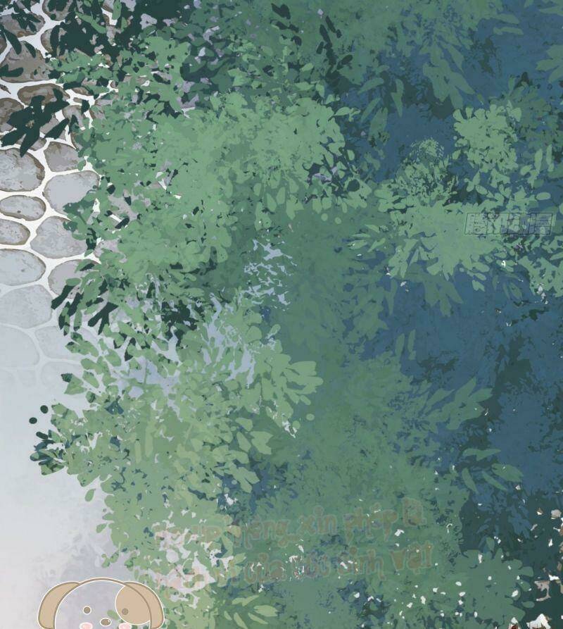 sát thủ vương phi không dễ chọc chapter 38 39