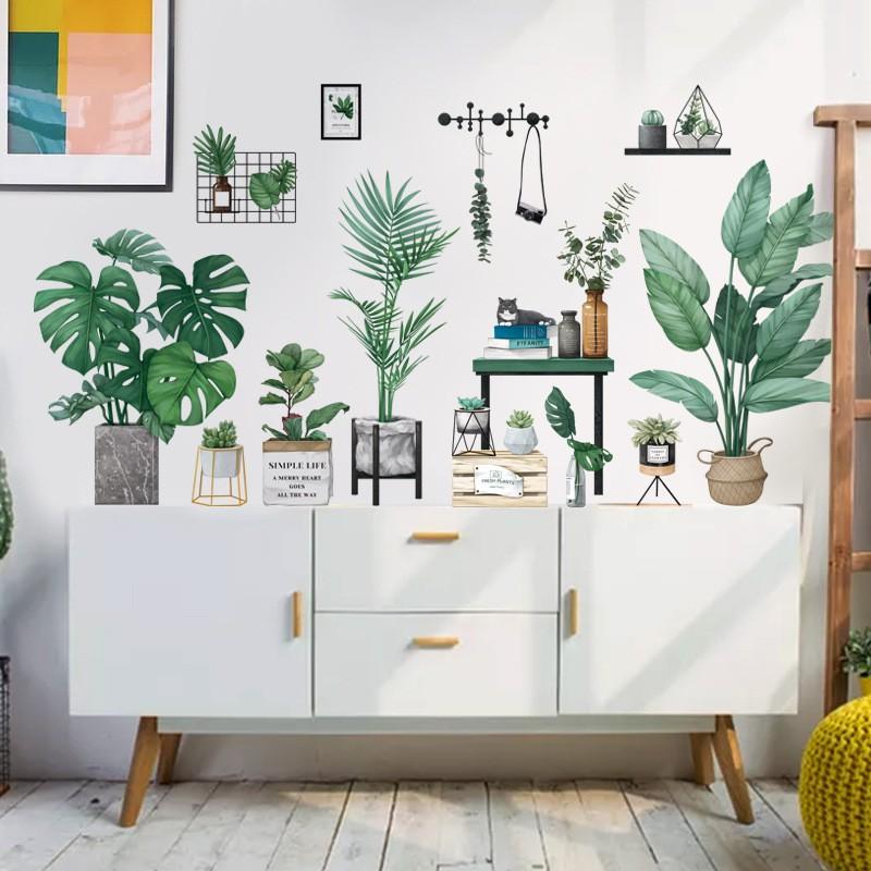 DECAL DÁN TƯỜNG PHONG CÁCH HÀN QUỐC NHIỆT ĐỚI Chậu cây xanh SIÊU TO NHẤT 01