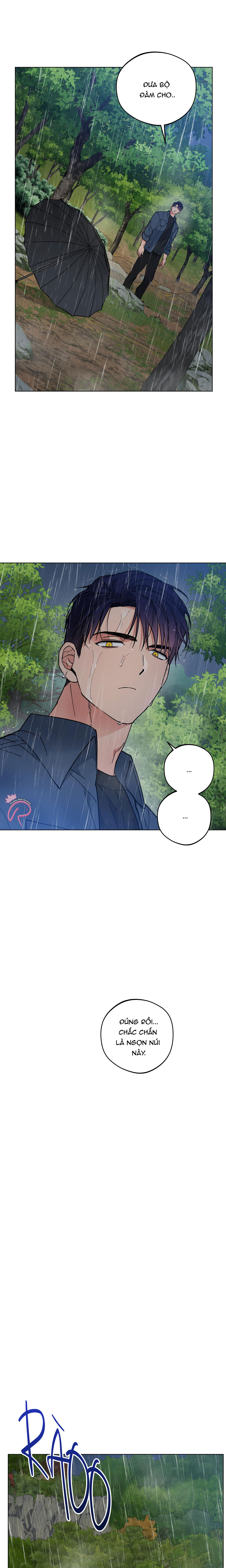 bình minh trên sông mây chapter 31 17