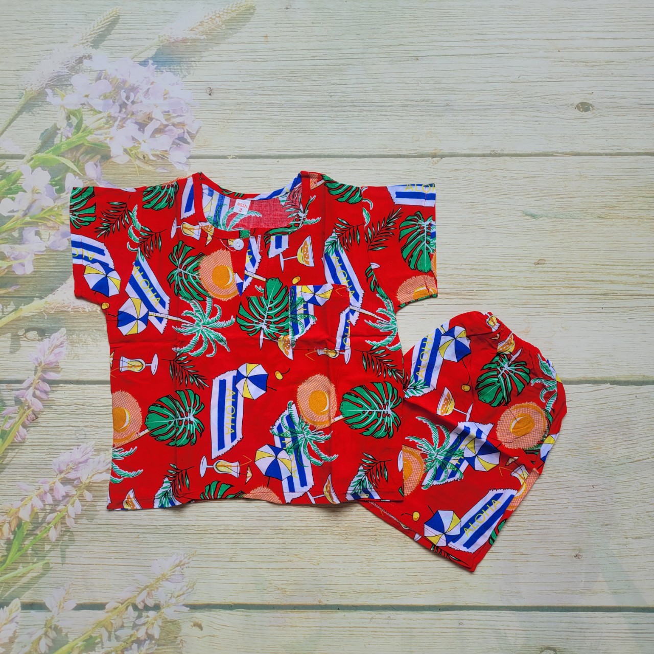 Đồ bộ tole lanh bé trai size 2 . 5 bộ giá sỉ