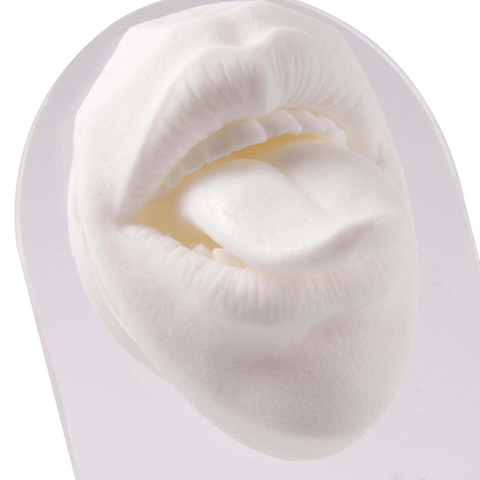 Silicone Mouth tongues Model body Displays Practice Tool Education Display