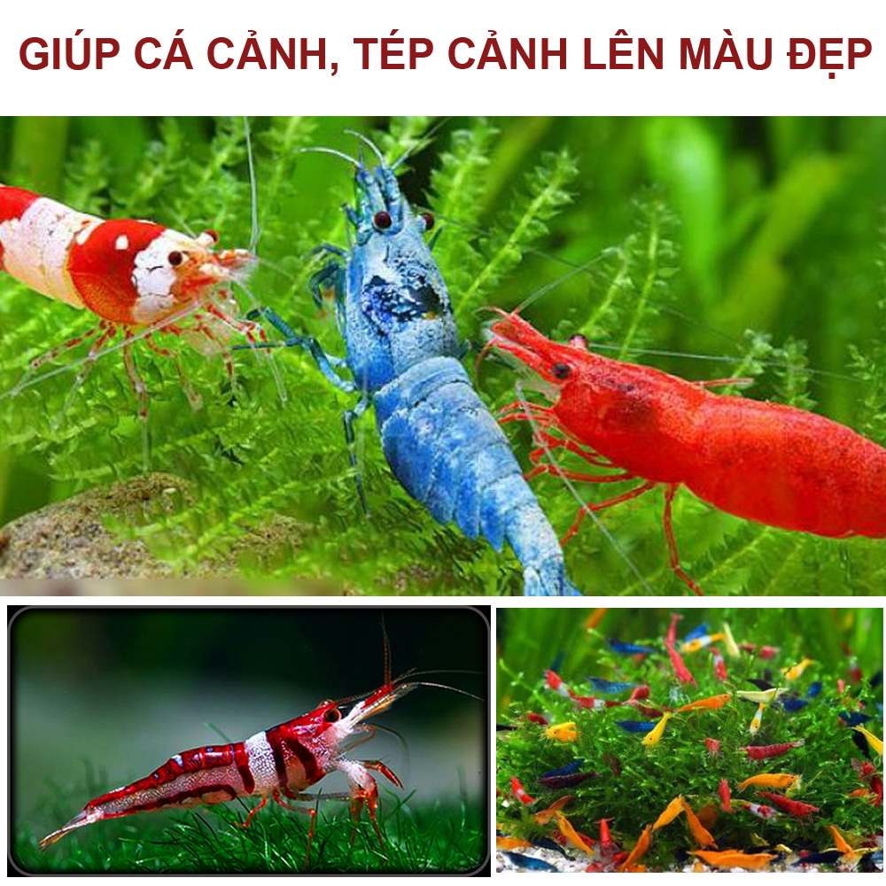 Thức ăn cho cá cảnh, tép cảnh Shrimp Food 120Gr siêu đạm, kích màu, tăng size cao câp, hiệu quả