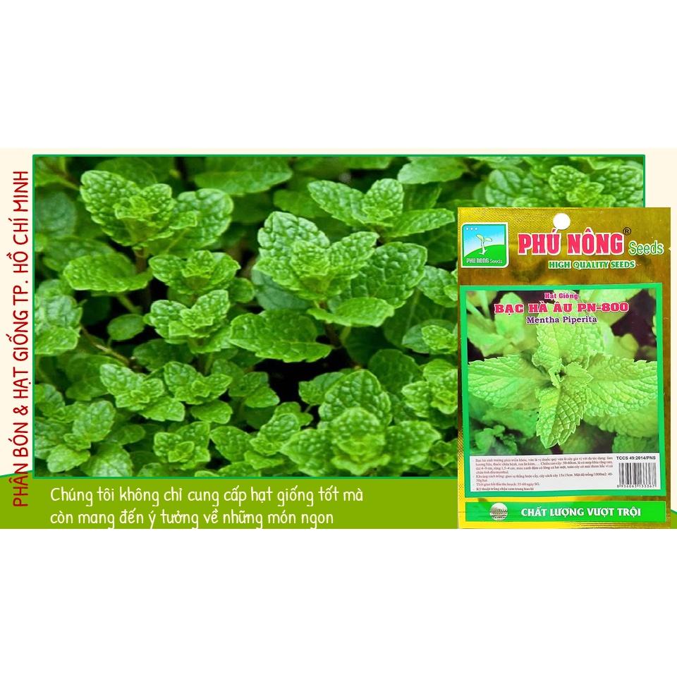 Hạt Giống Húng Lủi, Bạc Hà Âu Thơm Ngon 0.2Gr - Phú Nông Seeds - Shop Phân Bón và Hạt Giống