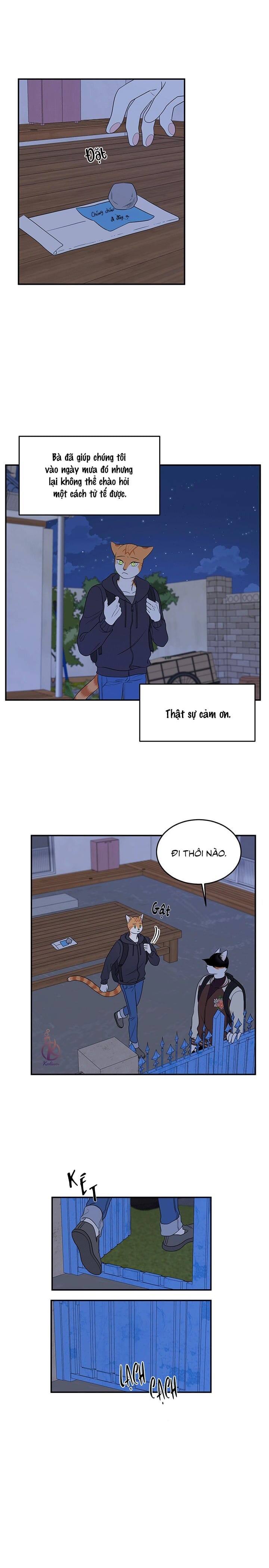 dự án xanh chapter 32 4