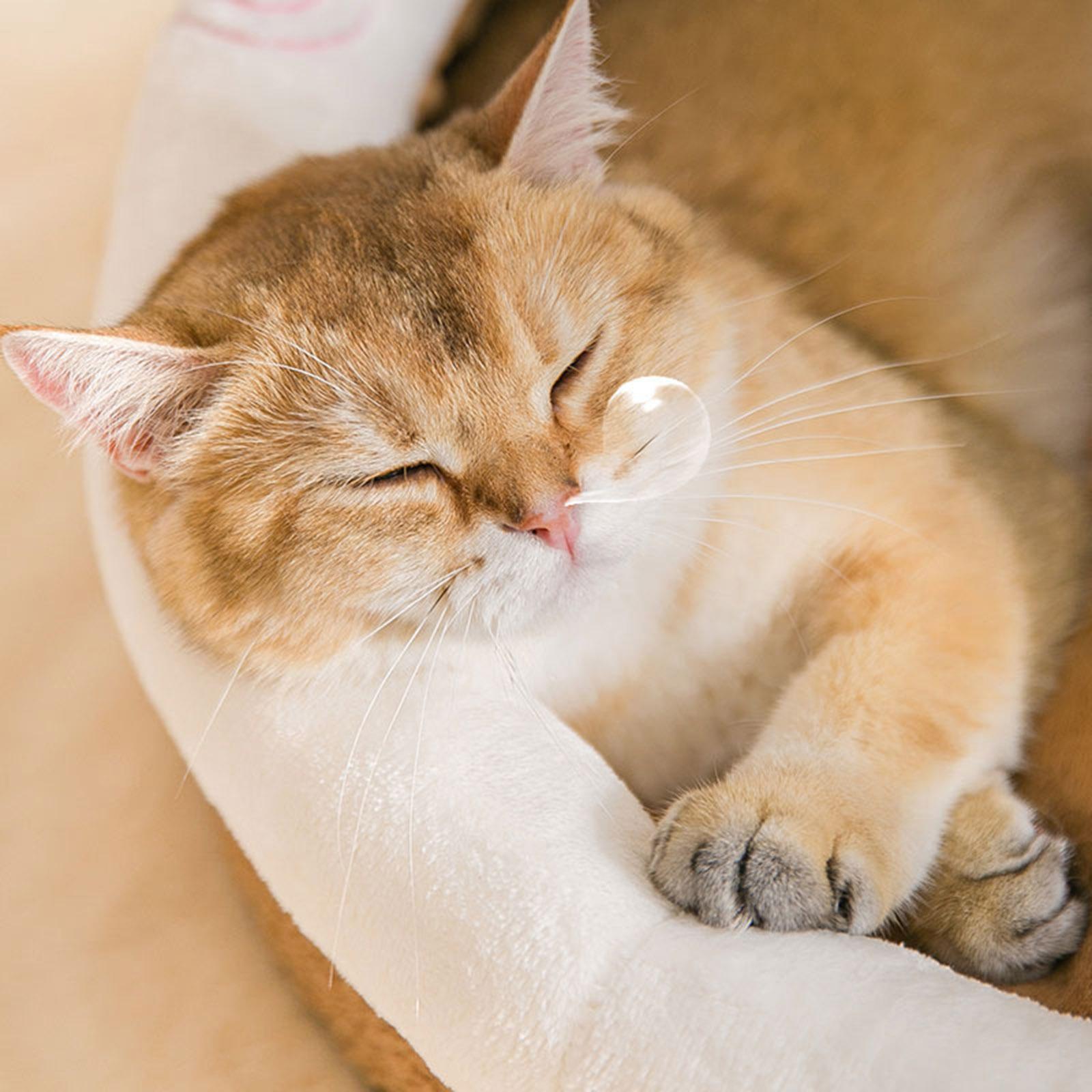 Cute Pet Cat Dog  Kennel Cave Sleeping Bed Soft Warm Nest House S