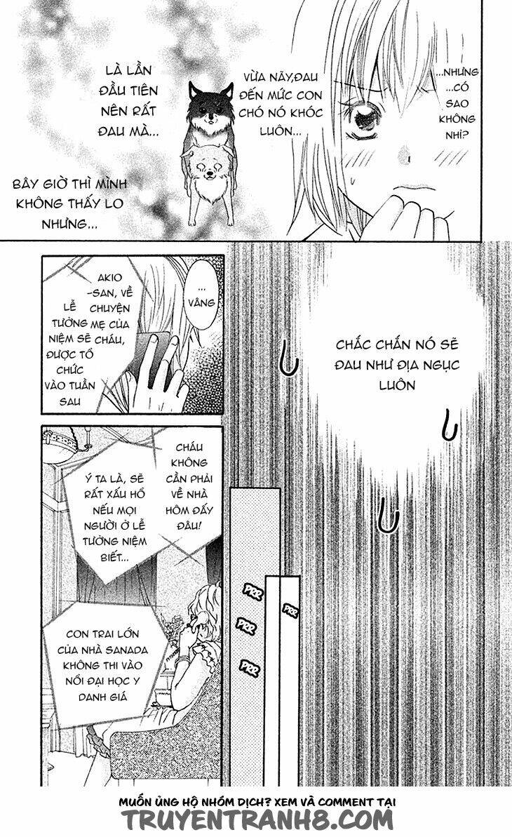 hetamen chapter 7 10