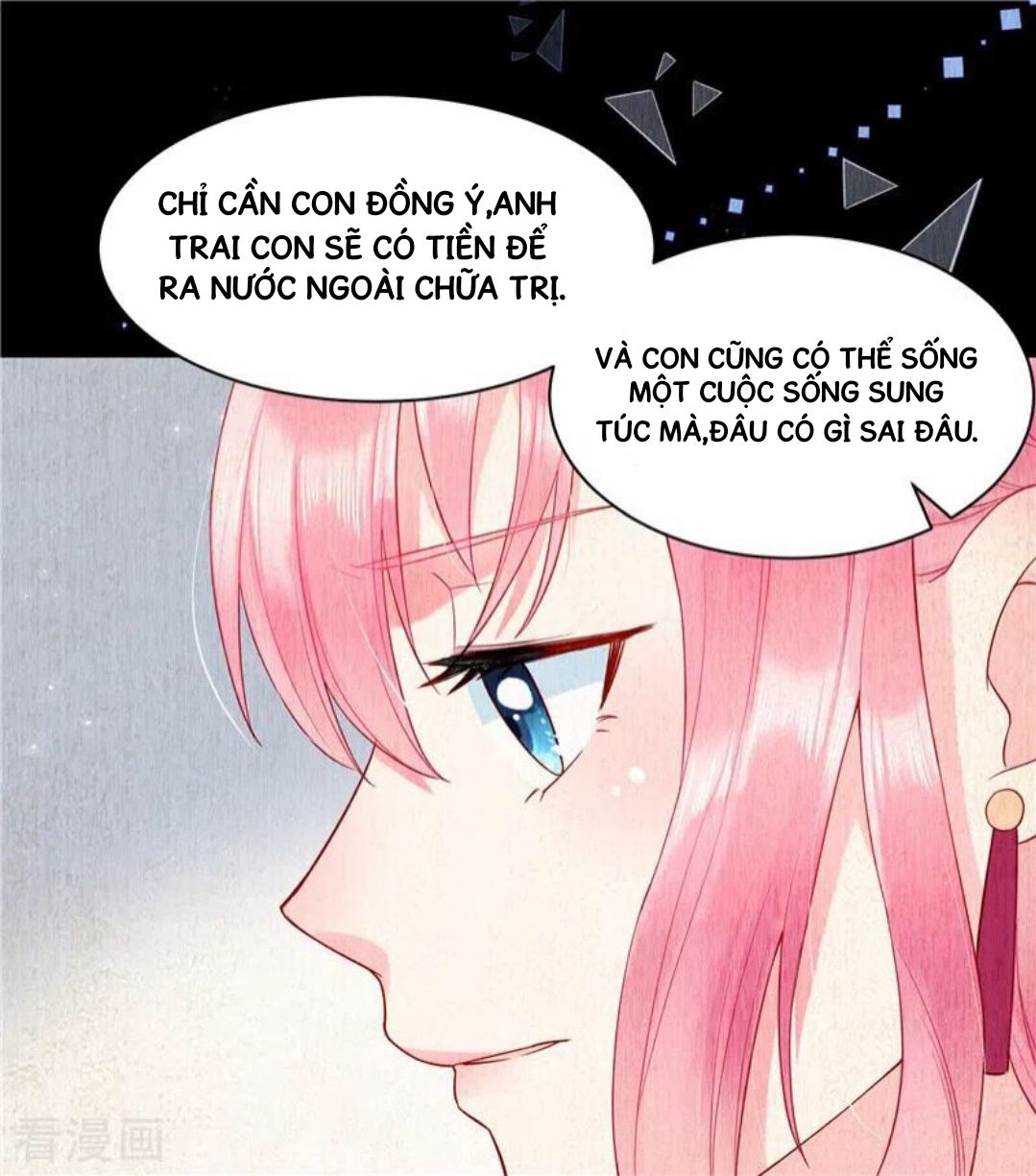 Cô Thỏ Nhỏ Của Chủ Tịch Sói Chapter 2 - Trang 2