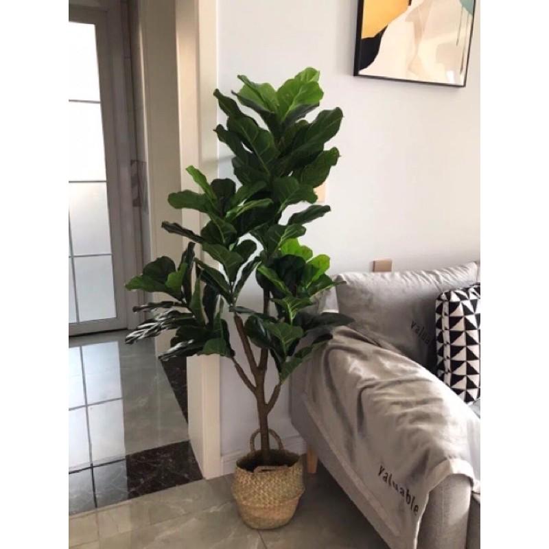 Cây bàng cao cấp 1m65 cây giả decor