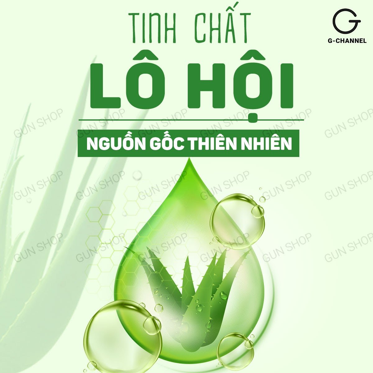 Gel bôi trơn tinh chất lô hội - Shell Aloe Vera - Chai 100ml