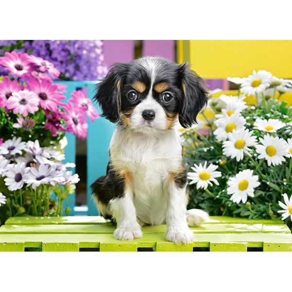 Xếp hình puzzle chú chó Spaniel 70 mảnh CASTORLAND B-070053