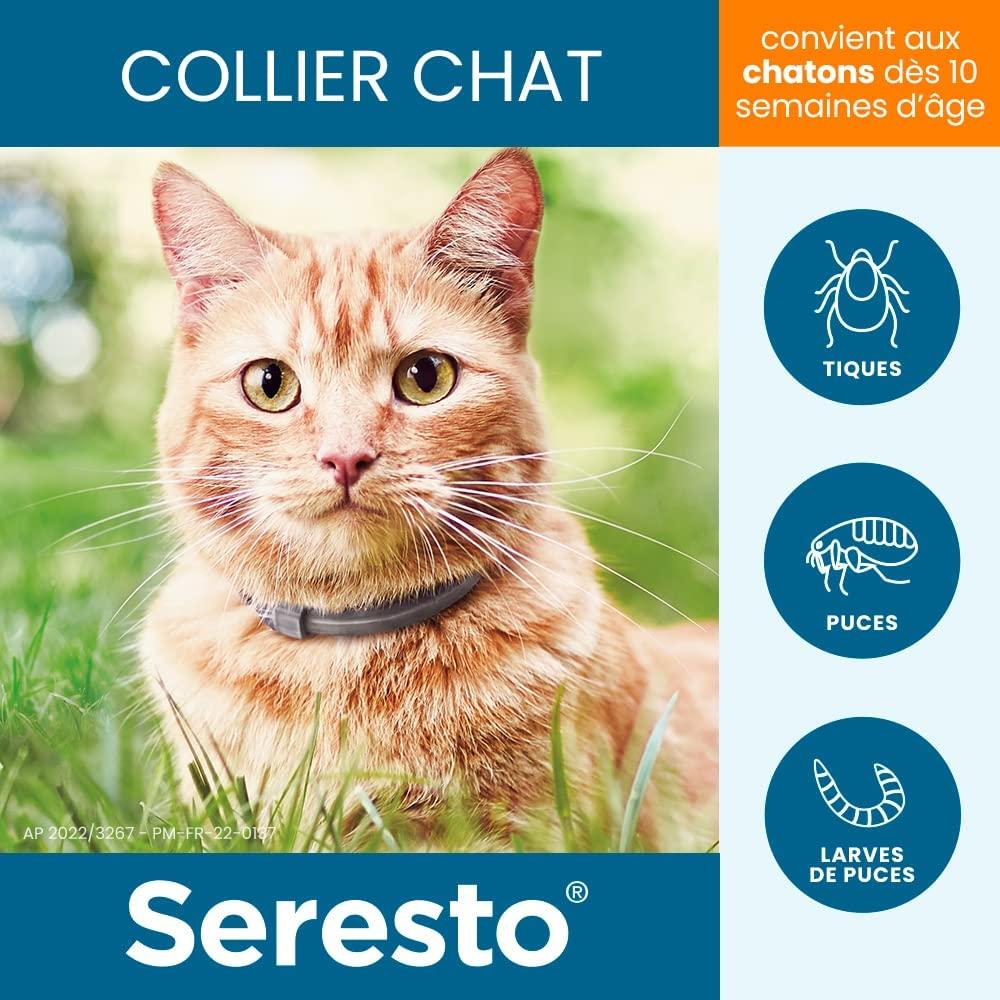 Seresto Cat - Vòng cổ bọ chét và ve cho mèo - 2 vòng cổ