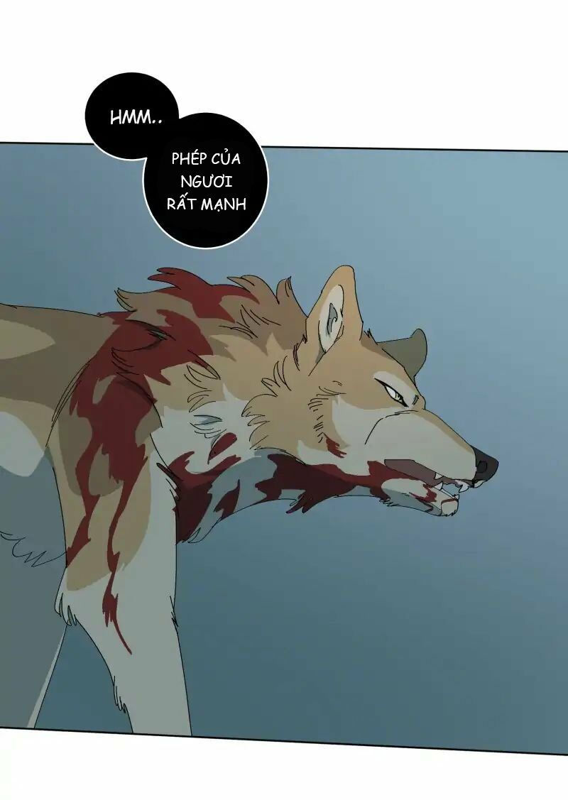 lumine - cội nguồn ánh sáng chapter 55 16