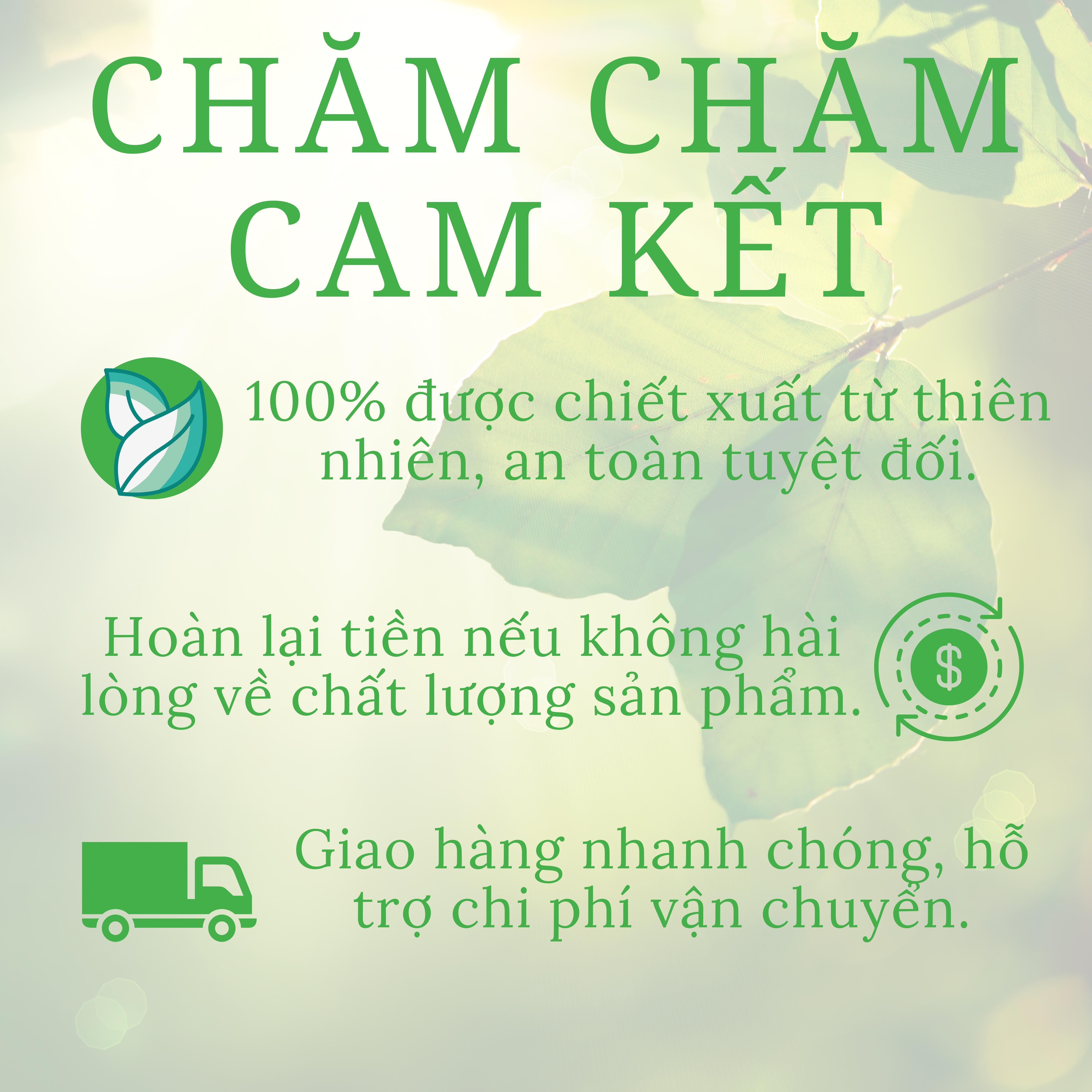 Tinh dầu tràm Huế Chăm Chăm chai 50ml nguyên chất 100% từ thiên nhiên