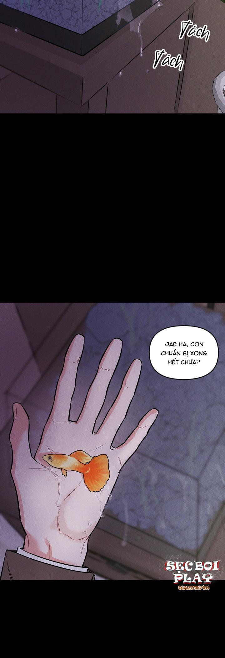 mặt trời của đêm chapter 15 33