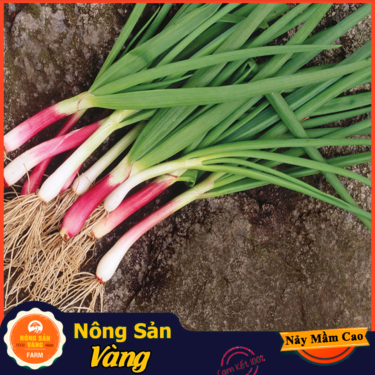 Hạt giống Hành Lá ( Gói 1 Gram ) - Nông Sản Vàng