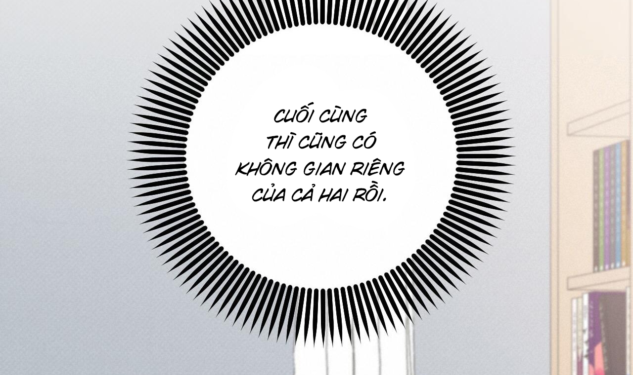 những chú thỏ của hapypy chapter 51 285