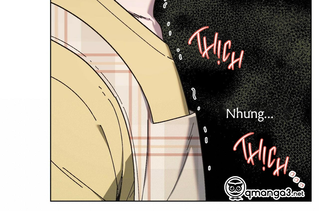 chàng dâu nhà họ kang chapter 28 169