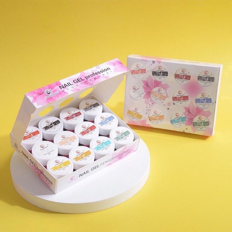 Gel vẽ fengshanmei, sét gel vẽ 12 màu fengshanmei