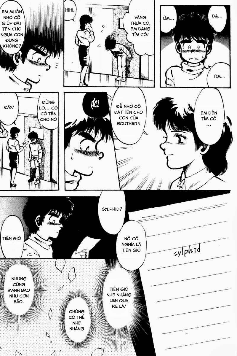kaze no sylphid - phong mã silphid chapter 1 13