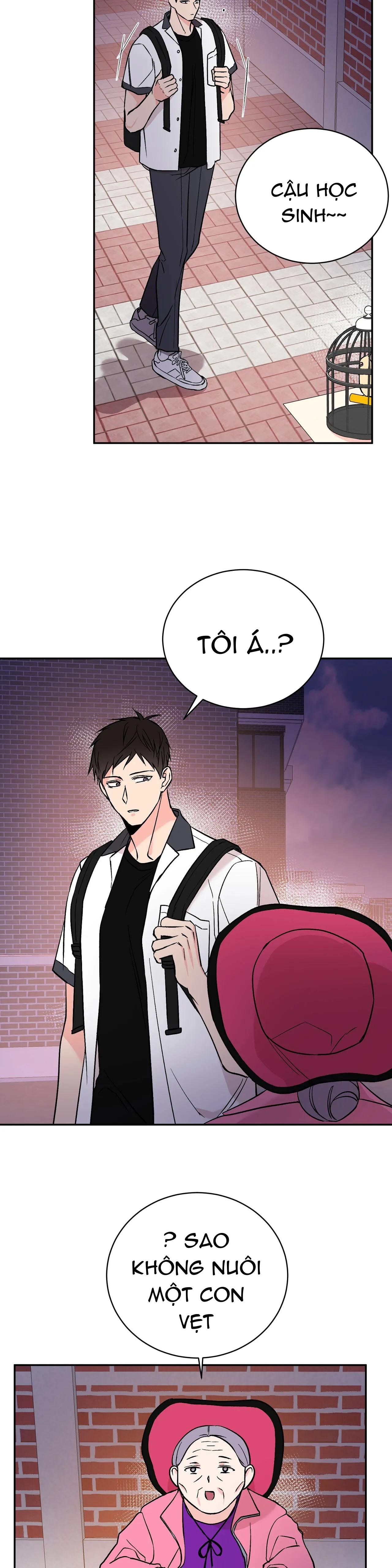 đảo ngược chapter 14 16