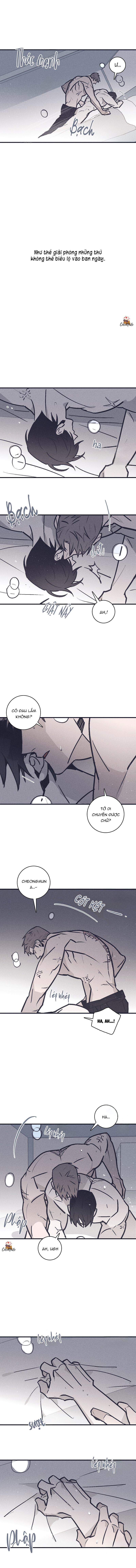 thuốc biến đổi giới tính chapter 11 3