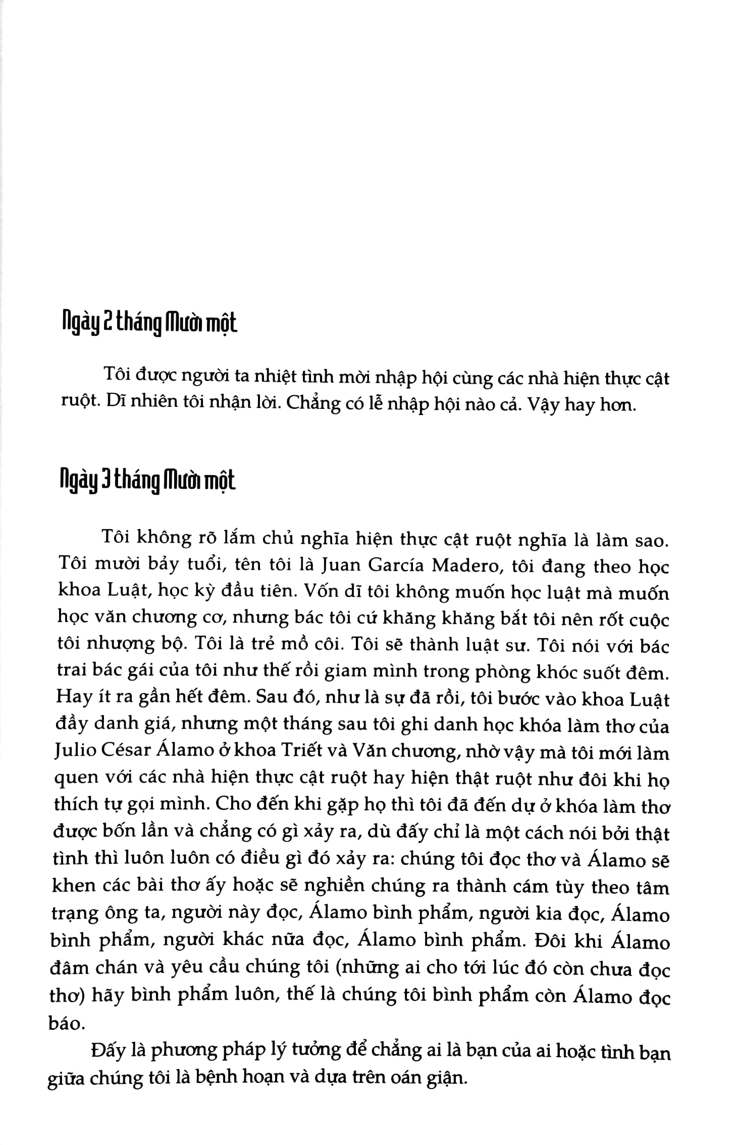 Thám Tử Hoang Dã - Roberto Bolaño