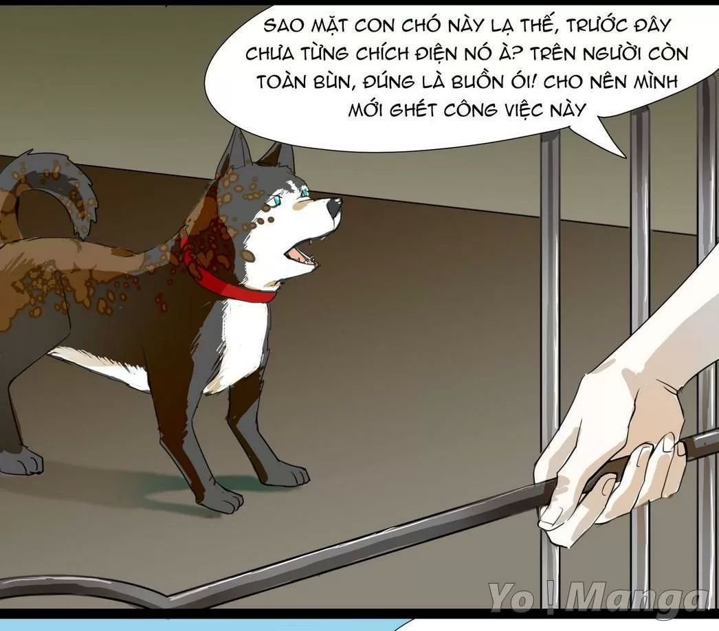 một con chó chapter 60 6