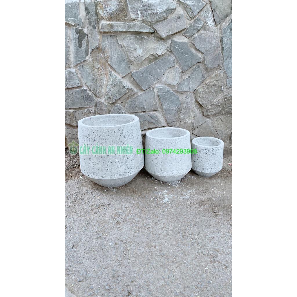 Bộ 3 Chậu Trồng Cây Chỉ Giao Hcm