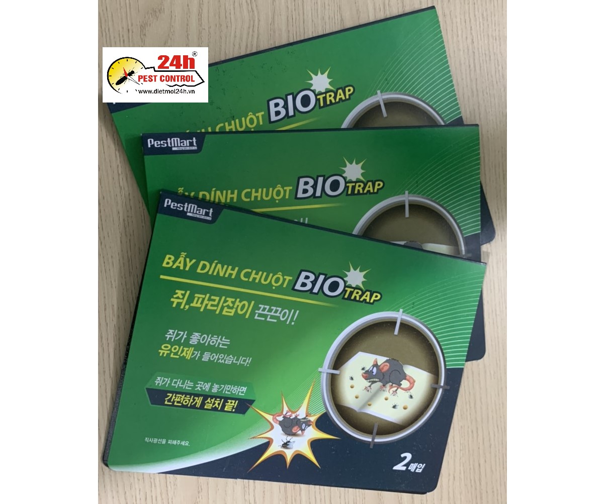 Combo 10 miếng keo dính chuôt BIO TRAP mẫu mới, siêu xịn, keo Hàn Quốc xịn 