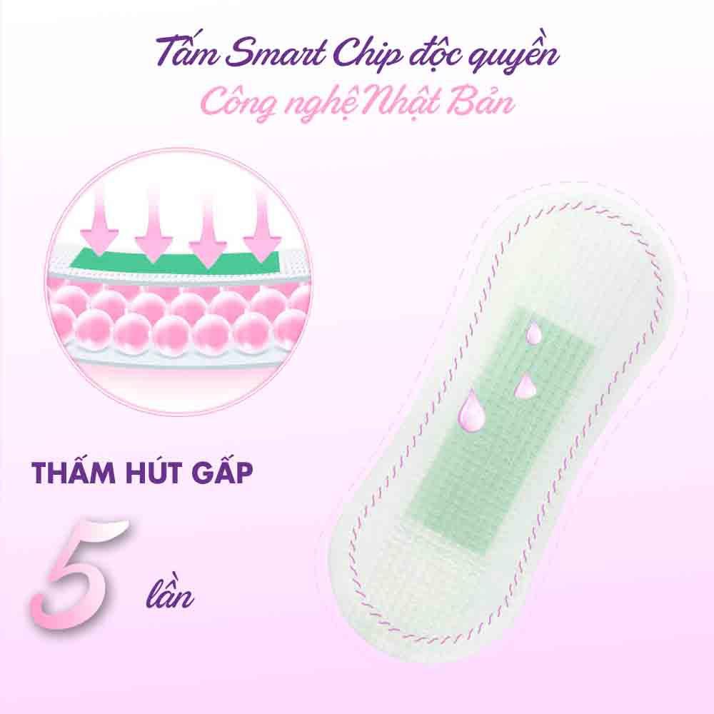 Combo 2 Băng vệ sinh hàng ngày Doctor Care tinh chất  thảo dược  16 cm