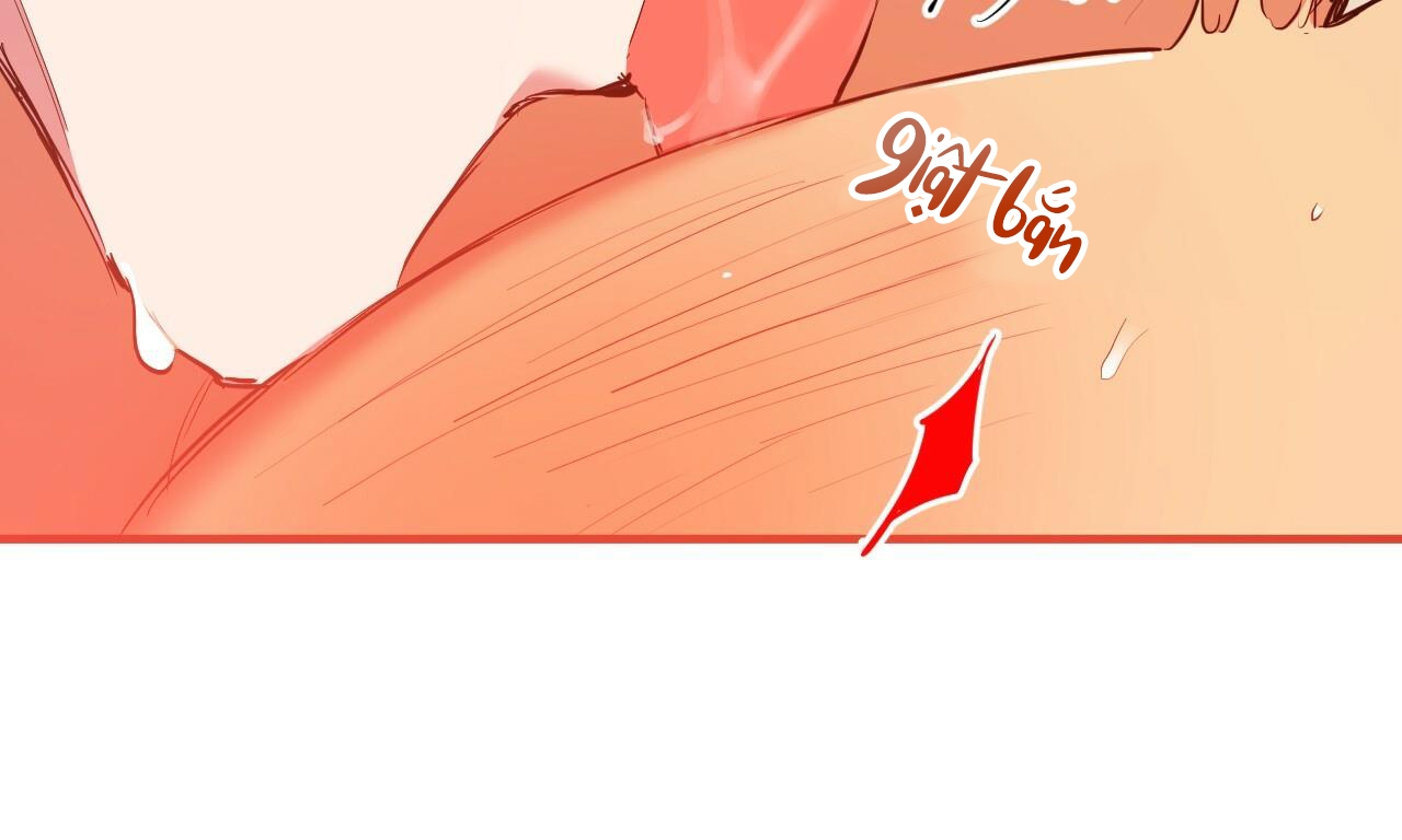 đàn thỏ của habibi chapter 38 88