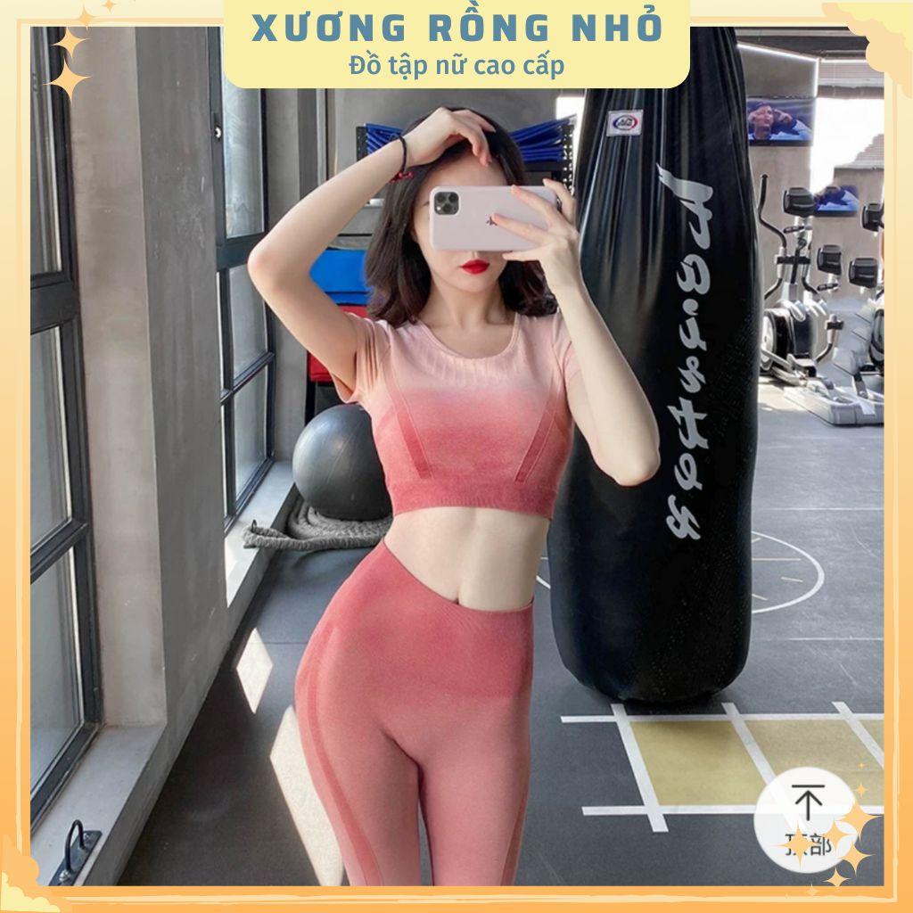 Bộ quần áo tập gym, yoga thể thao nữ có sẵn lót ngực, Đồ tập nữ ombre, quần tập cạp cao chất lệu thông thoáng, co giãn