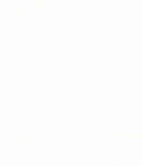 Nàng Bạo Chúa Muốn Có Một Cuộc Sống Hạnh Phúc Hơn! chapter 11.5 27