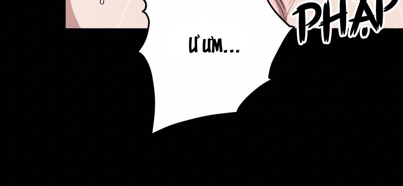 làm dâu nhà tài phiệt họ kang chapter 58 97