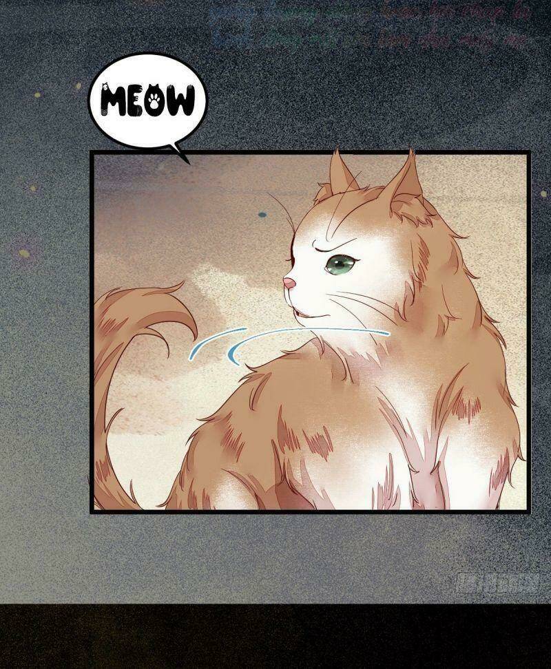 sát thủ vương phi không dễ chọc chapter 44 49