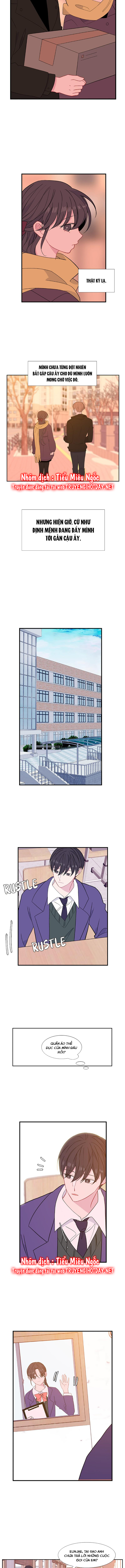 quay lại nhé chapter 95 8