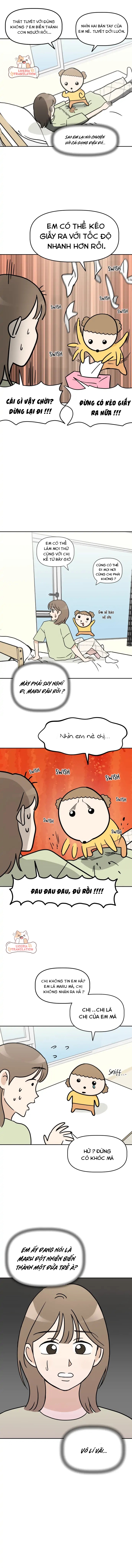 maru là một bé cún chapter 1 13