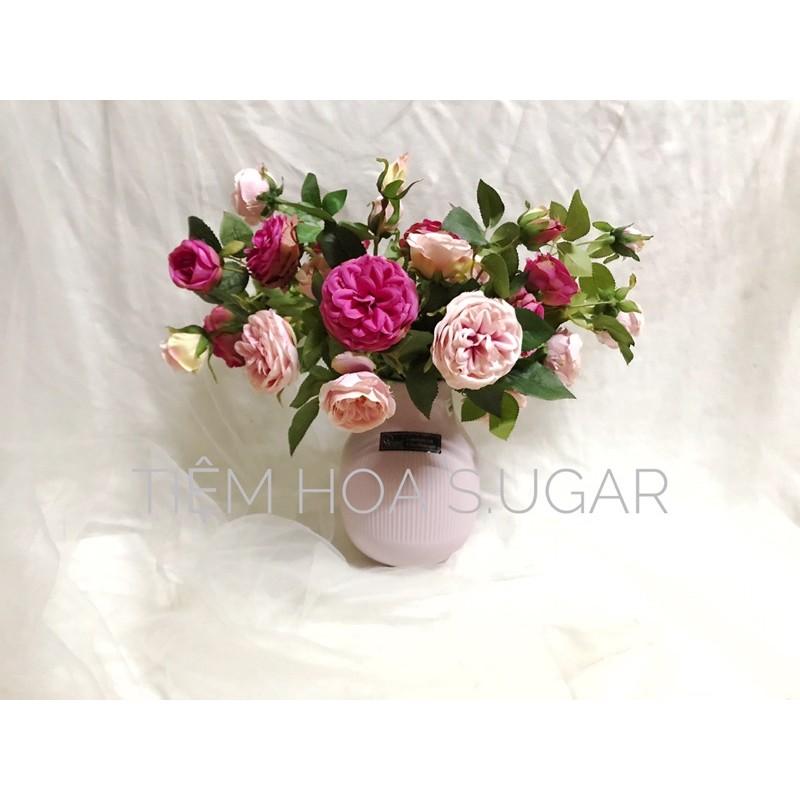 Bình gốm hồng pastel