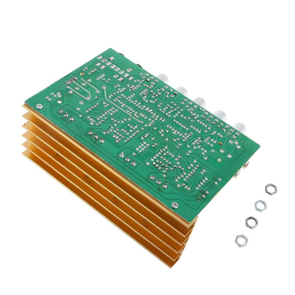 Dual Channel 100W Stereos Amplifier Board Modules with Frame Knob