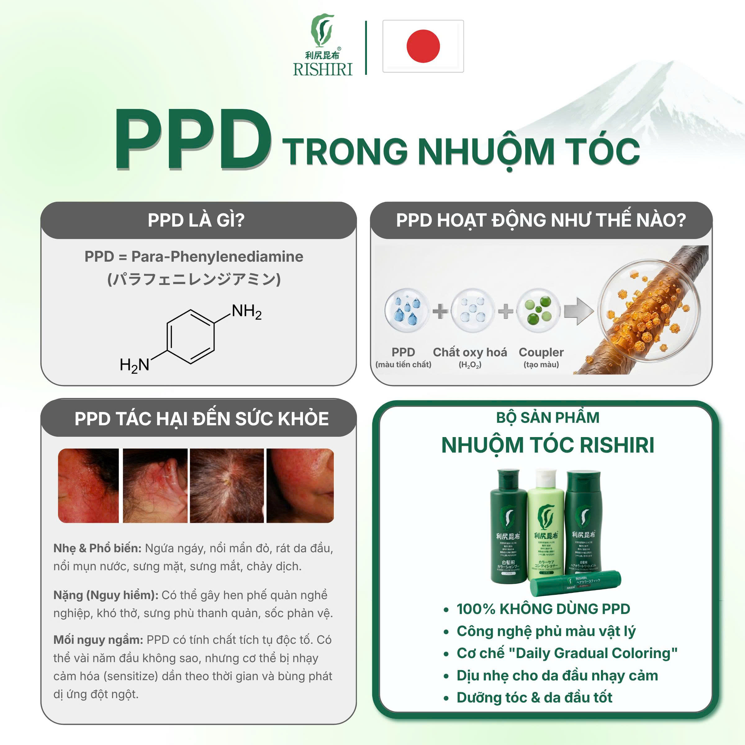 Bút Nhuộm Màu Chân Tóc Tạm Thời Cao Cấp Rishiri Nhật Bản Color Stick 20G