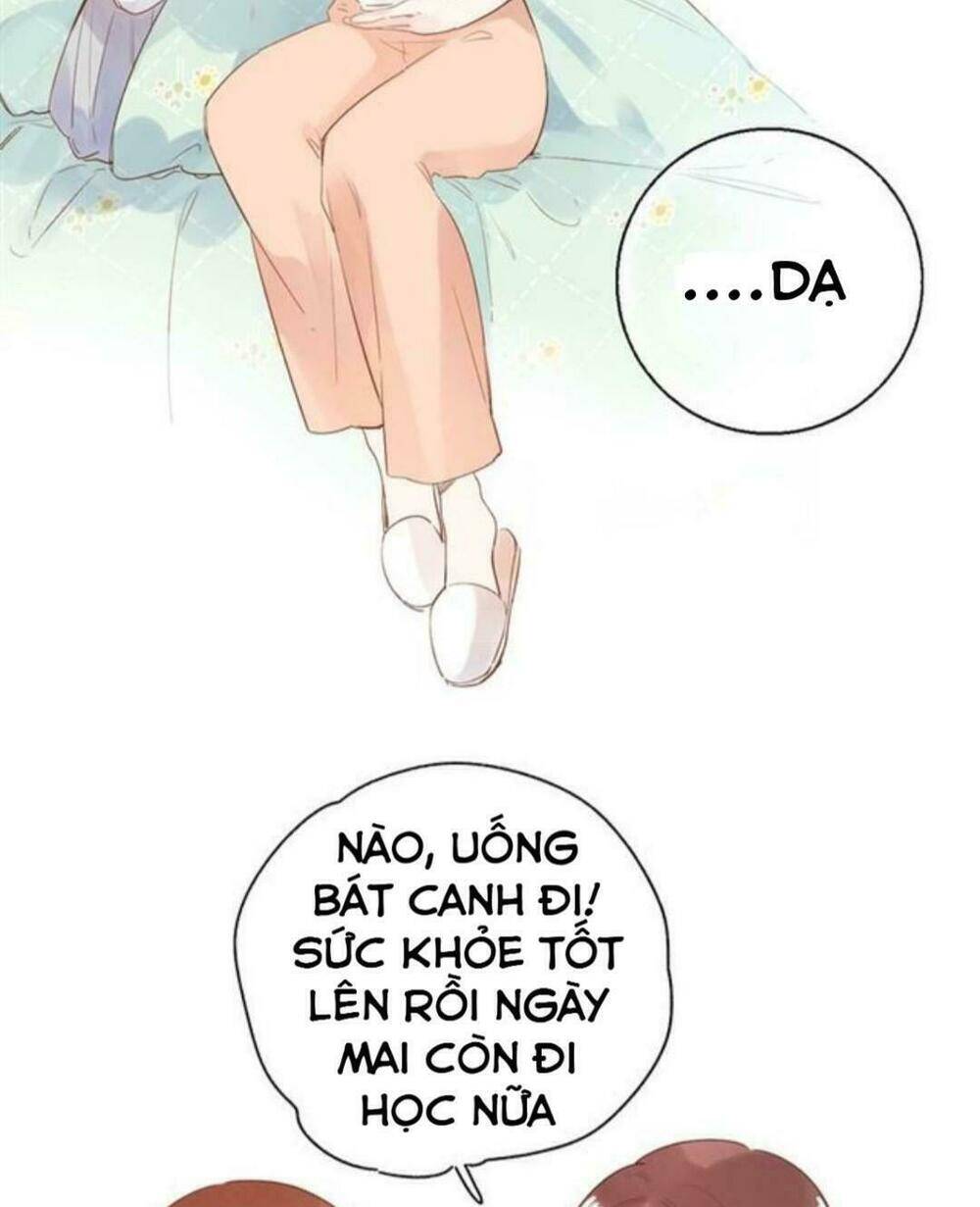 sos! tôi đã yêu một con sâu bướm (phần 2) chapter 55 55