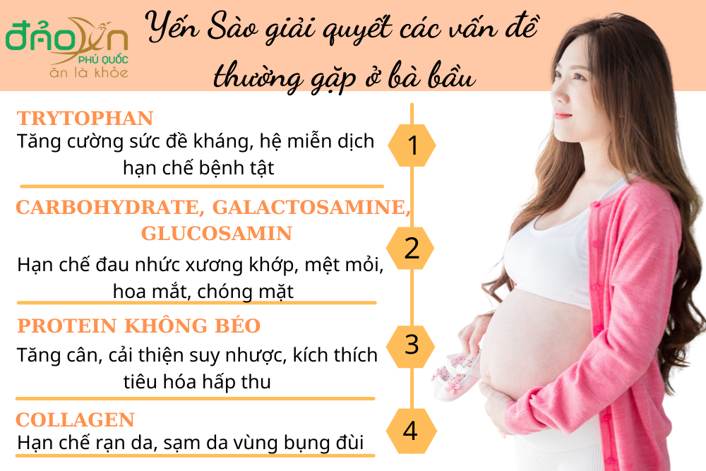 Tổ yến Hồng thô Đảo Yến Phú Quốc - Yến sào nguyên chất/ ít lông - Tăng cường sức đề kháng - Làm đẹp da, chống lão hóa - Giúp người bệnh mau lành