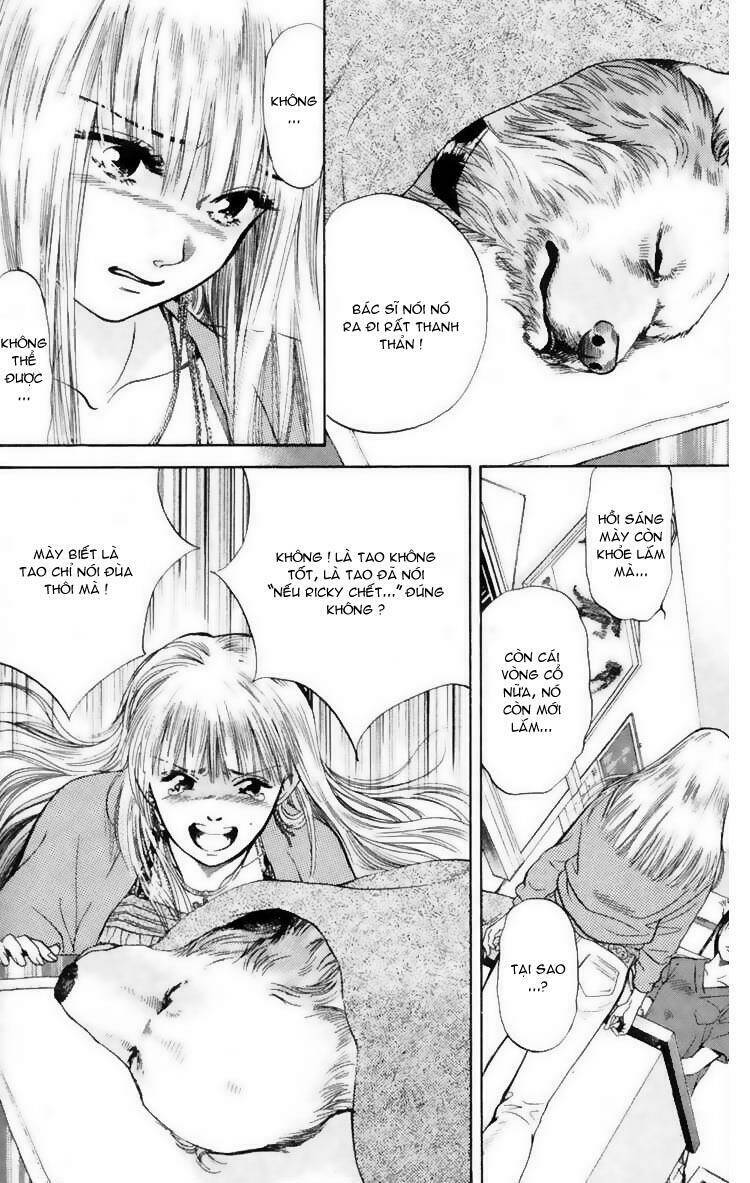 cô nàng yêu chó chapter 7 4