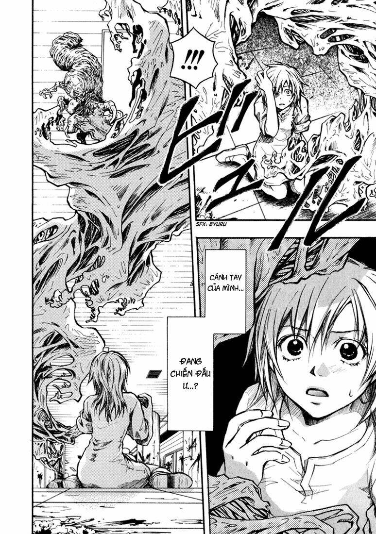 variante chapter 5 24