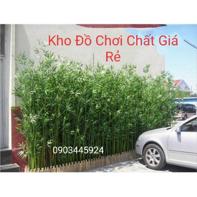 Combo 10 cành trúc xanh cao 1,5m