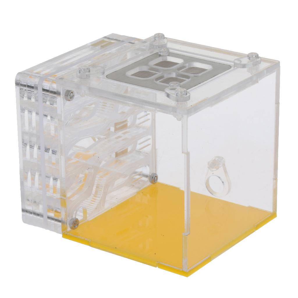 Kiến Nhà Ở Tổ Loài Côn Trùng Lồng Trang Trại Cho Ăn Độ Ẩm Bằng Nhựa Acrylic Màn Hình Hộp Vuông-Giáo Dục formicar
